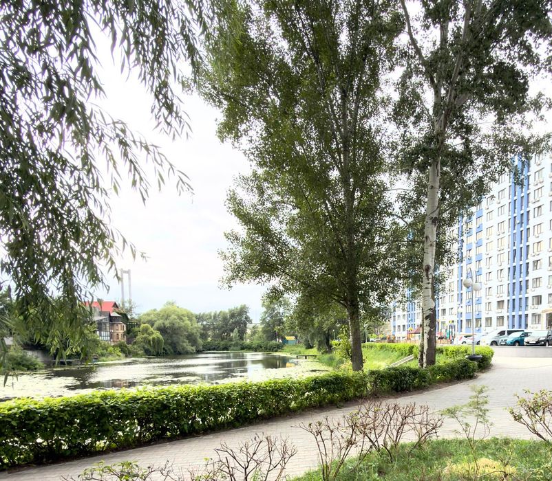 Квартира на вул. Олімпія Галіка, 75А в Києві, ID 215682, фото №12