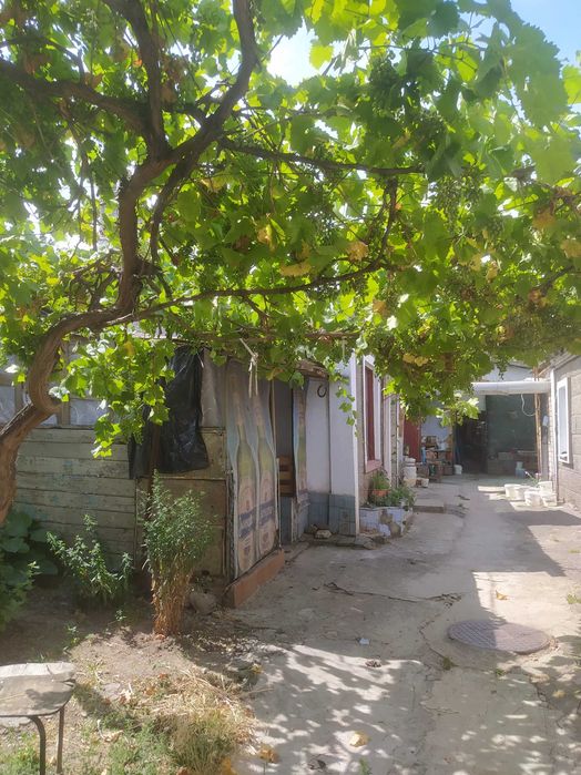 Квартира на вул. Сенная-Даля в Миколаєві, ID 365423, фото №16