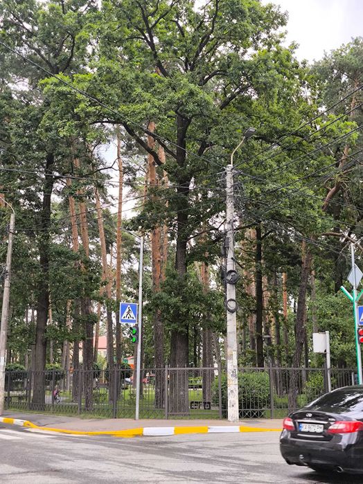 Квартира на ЖК Роял Парк в Києві, ID 235285, фото №21