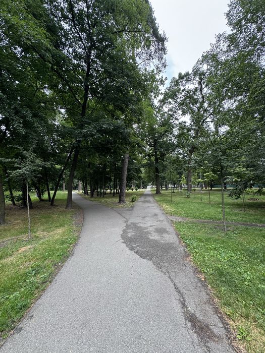 Квартира на вул. Михайловського, 94 в Києві, ID 223449, фото №14