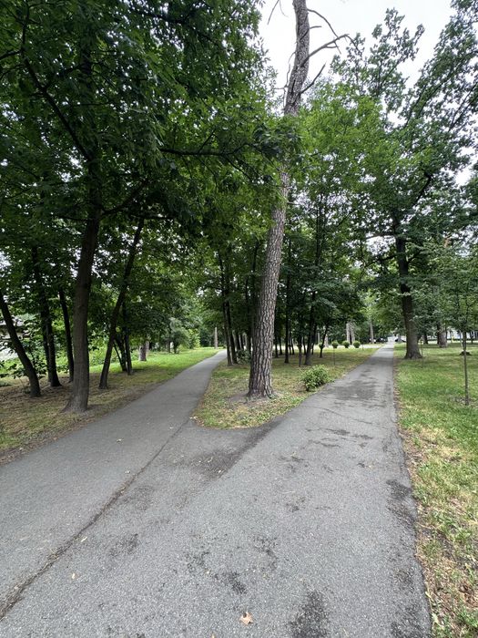 Квартира на вул. Михайловського, 94 в Києві, ID 223449, фото №15
