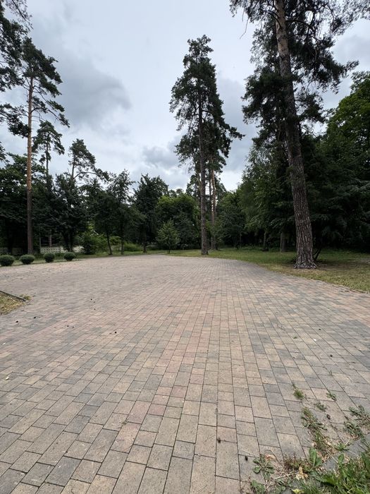 Квартира на вул. Михайловського, 94 в Києві, ID 223449, фото №17
