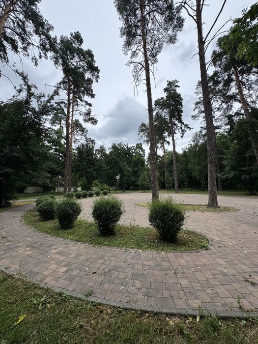 Квартира на вул. Михайловського, 94 в Києві, ID 223449, фото №18
