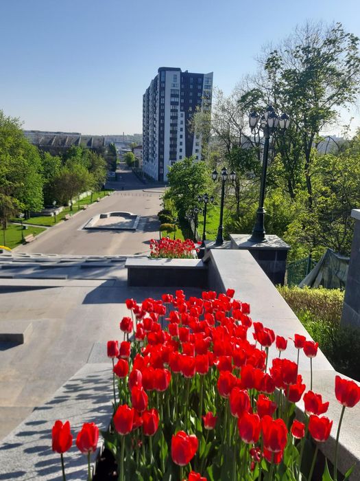 Квартира на вул. Ботанічна, 2 в Харкові, ID 183087, фото №3