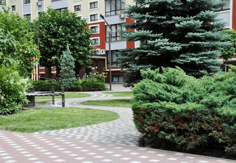Квартира на Ірпінь в Києві, ID 233221, фото №4