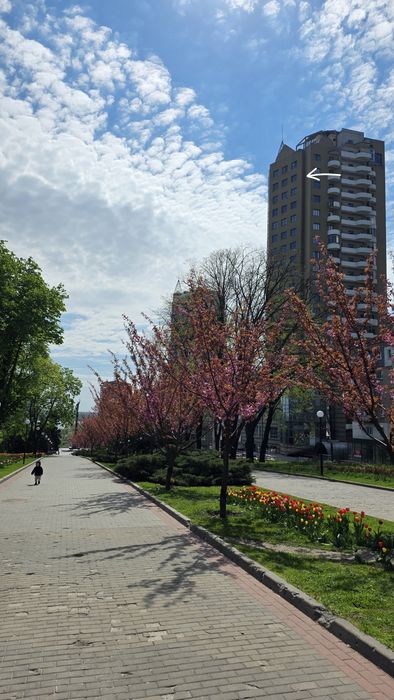 Квартира на просп. Дмитра Яворницького, 5 в Дніпрі, ID 182693, фото №11