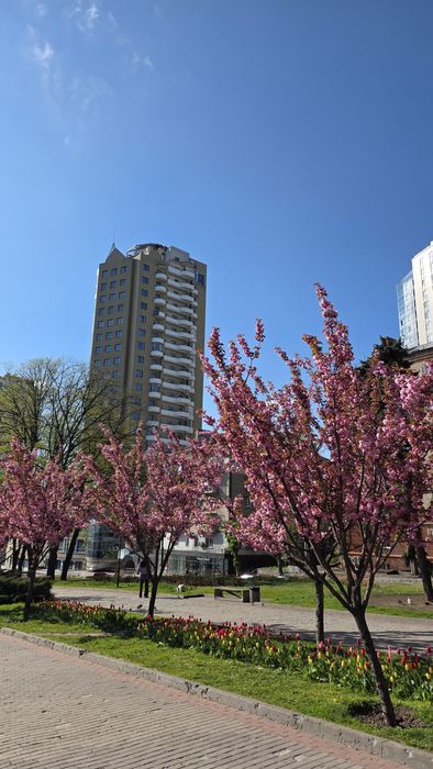 Квартира на просп. Дмитра Яворницького, 5 в Дніпрі, ID 182693, фото №6