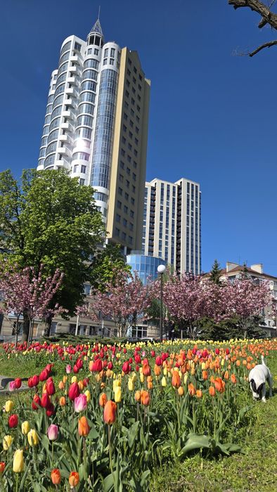 Квартира на просп. Дмитра Яворницького, 5 в Дніпрі, ID 182693, фото №7