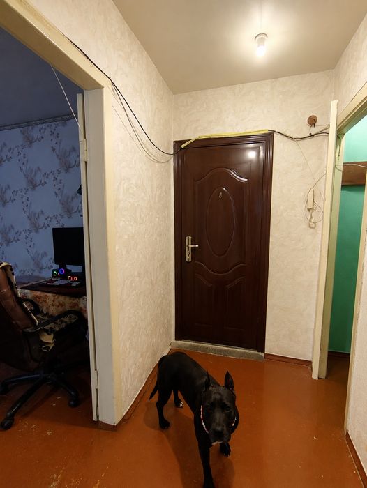 Квартира на вул. Нова в Павлограді, ID 297429, фото №6