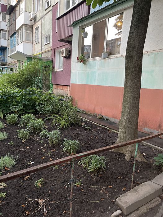 Квартира на вул. Тесленко, 1 в Кривому Розі, ID 254337, фото №8