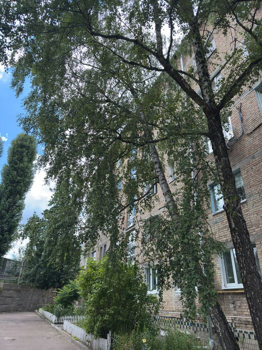 Квартира на вул. Максима Берлінського, 20 в Києві, ID 194564, фото №16