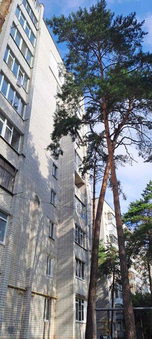 Квартира в Чернігові, ID 241595, фото №14