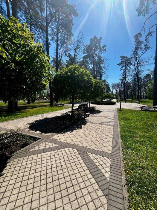 Квартира на вул. Соборна в Києві, ID 220942, фото №12