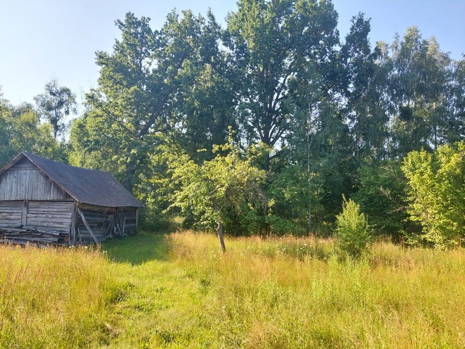 Будинок на Житомирська область, Лугинки, ID 415908, фото №3