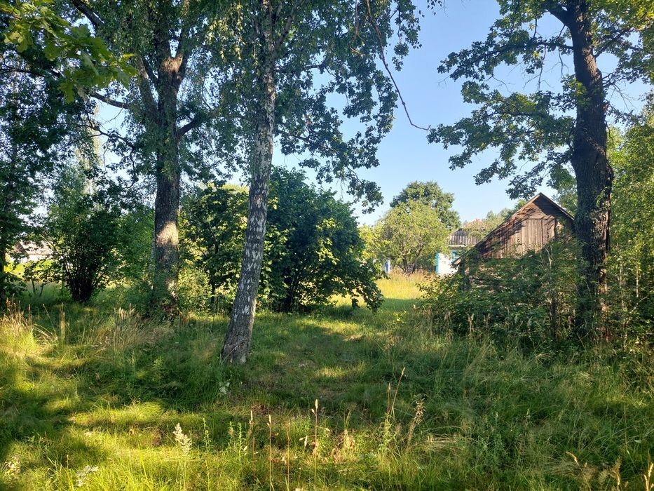Будинок на Житомирська область, Лугинки, ID 415908, фото №4