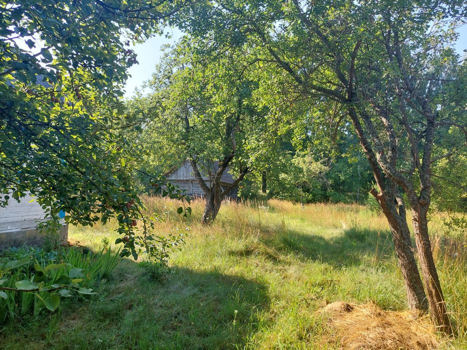 Будинок, Лугинки у Житомирській області, ID 415908, фото №7