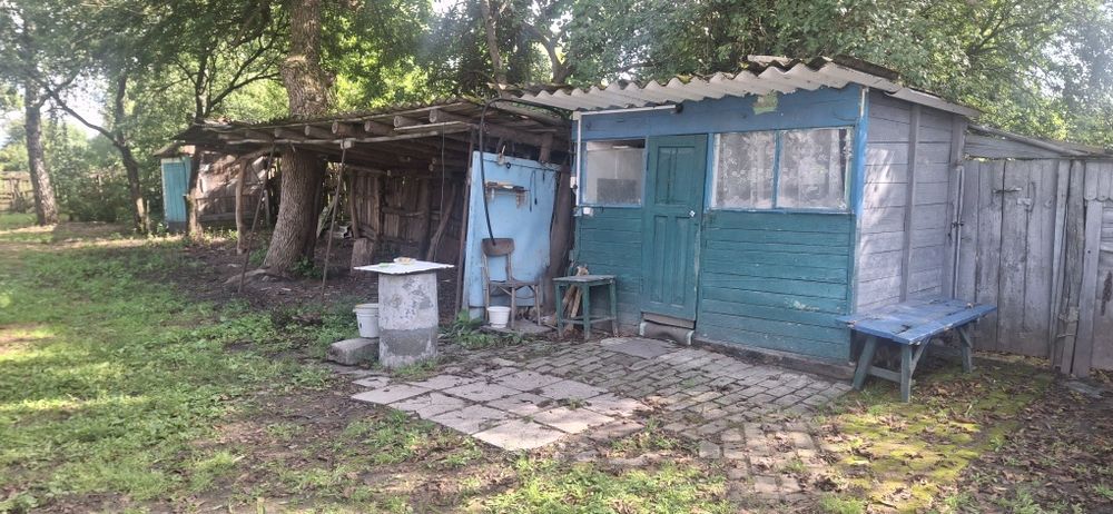 Будинок на Сумська область, Алтинівка, ID 416024, фото №5
