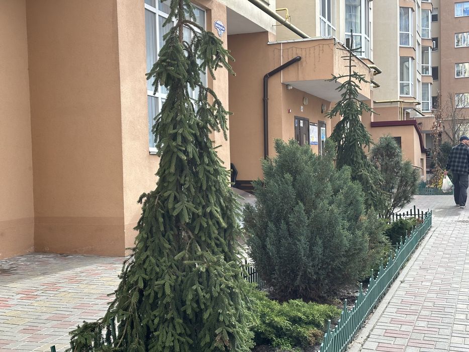 Квартира на ЖК Софіївська Сфера в Києві, ID 240326, фото №21