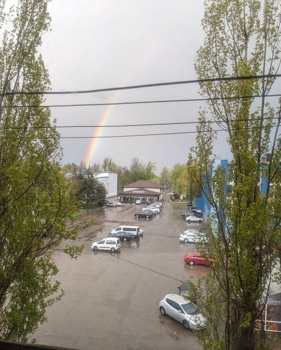 Квартира на вул. Магістральна, 12 в Кривому Розі, ID 256728, фото №22