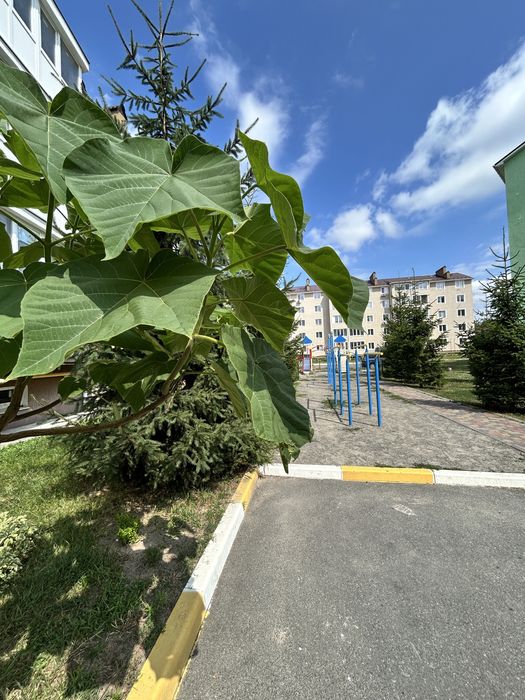 Квартира в Києві, ID 312434, фото №18