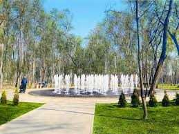 Квартира на вул. Олени Теліги, 35г в Києві, ID 255951, фото №6