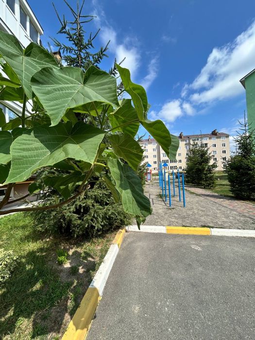 Квартира на вул. Ворзель в Києві, ID 309456, фото №4