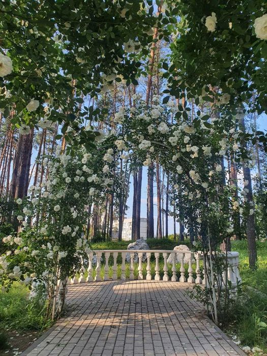 Квартира на ЖК «Sobornyi» в Києві, ID 305251, фото №24