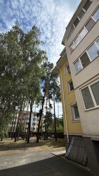 Квартира на біля Центрального парку в Києві, ID 231977, фото №21