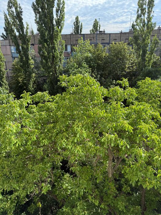 Квартира на вул. Олексія Резнічнека в Кривому Розі, ID 304466, фото №12