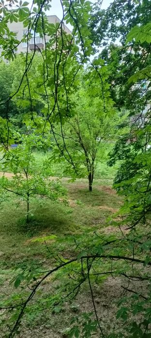 Квартира на вул. Юбилейна, 26 в Краматорськ, ID 292729, фото №1
