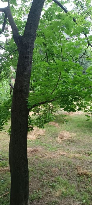Квартира на вул. Юбилейна, 26 в Краматорську, ID 292729, фото №23