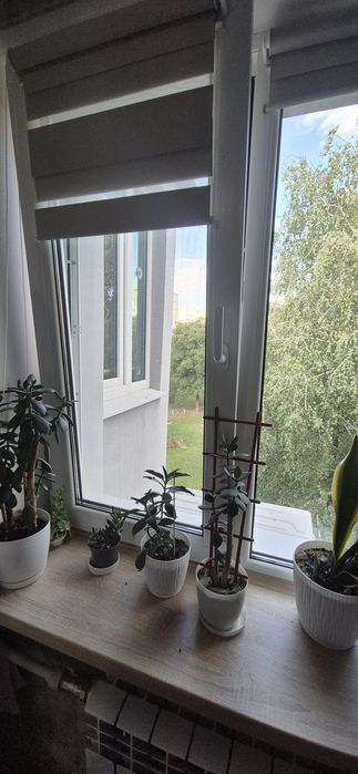 Квартира на Немишлянський в Харкові, ID 253076, фото №20