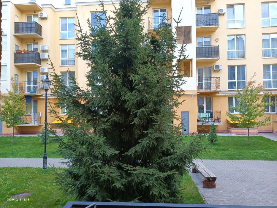 Купити квартиру за адресою Петропавлівська Борщагівка в Київ на Findly.com.ua Квартира на Петропавлівська Борщагівка в Київ, ID 239871, фото №1