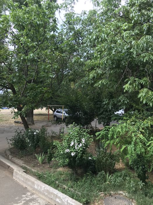 Квартира на вул. Паустовського в Одесі, ID 173209, фото №9