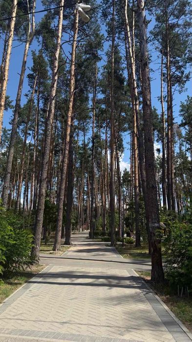 Квартира на ЖК Авіатор-2 в Києві, ID 308410, фото №13