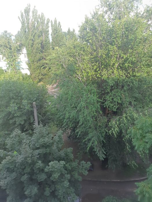 Квартира на Автовокзал в Кривому Розі, ID 253491, фото №17