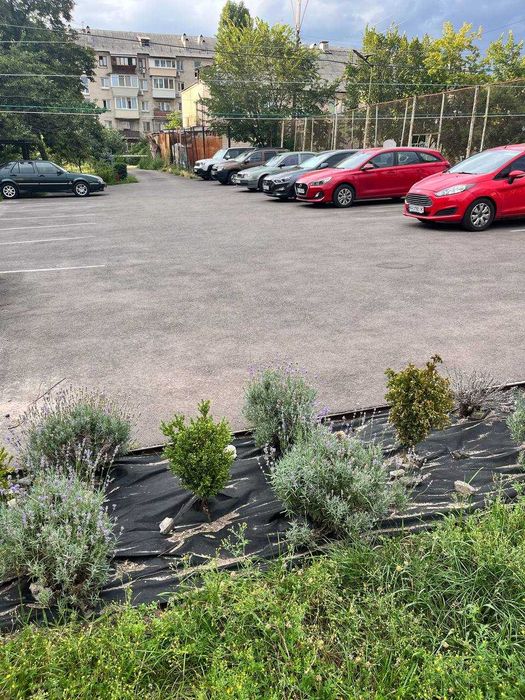 Квартира на вул. Юрія Пасхаліна, 7-А в Києві, ID 179608, фото №15