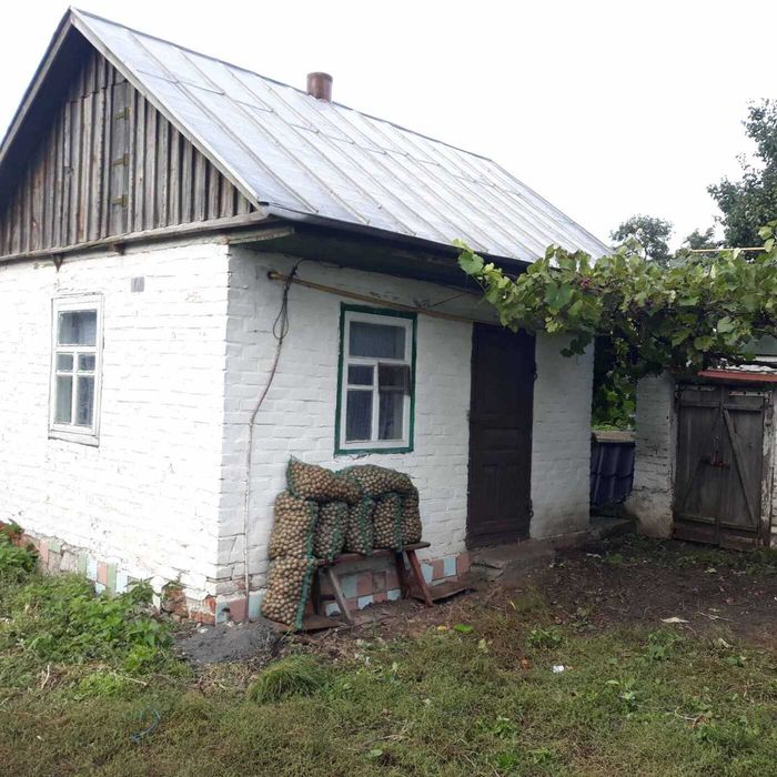 Будинок, Гаврилівка у Чернігівській області, ID 423056, фото №6