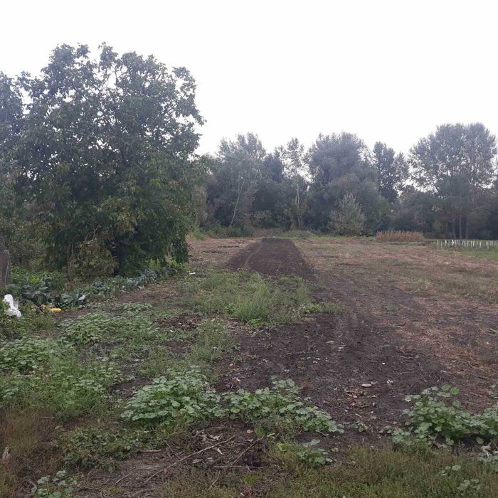 Будинок, Гаврилівка у Чернігівській області, ID 423056, фото №9