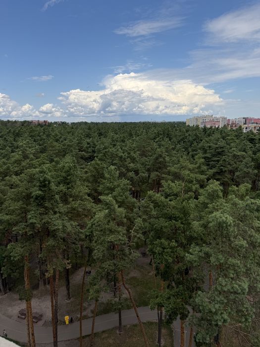 Квартира на ЖК Центральний 2 в Києві, ID 220930, фото №15