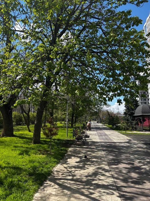 Квартира на на Фонтані в Одесі, ID 210587, фото №12
