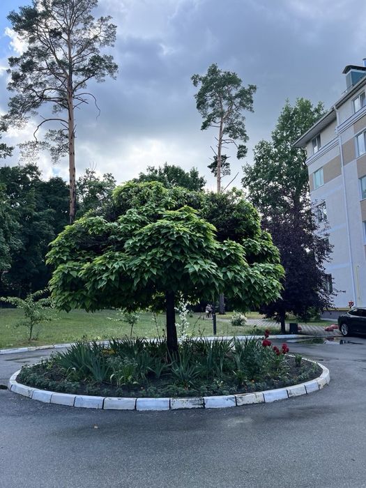 Квартира на вул. Вокзальна, 2 в Києві, ID 231543, фото №11