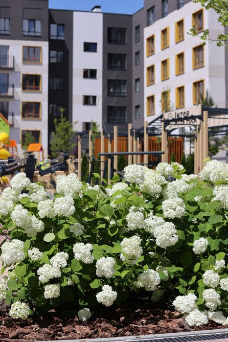Квартира на вул. Набережна, 44 в Києві, ID 235080, фото №3
