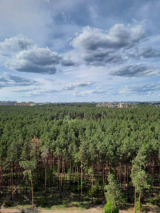 Квартира на вул. Університетська в Києві, ID 239428, фото №13