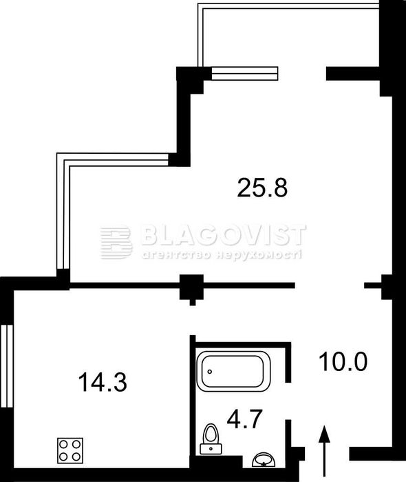 Квартира на вул. Верхогляда, 14 в Києві, ID 214117, фото №15