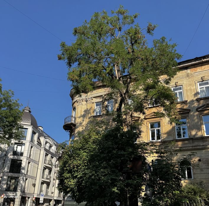 Квартира на вул. Стефаника, 4 в Львові, ID 216465, фото №1