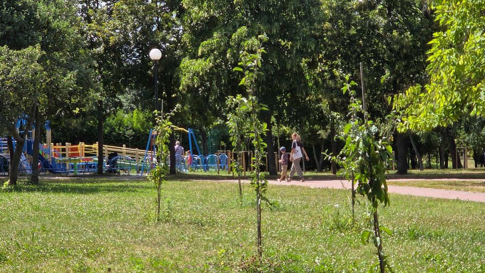 Квартира на вул. Михайла Донця, 9 в Києві, ID 216938, фото №15