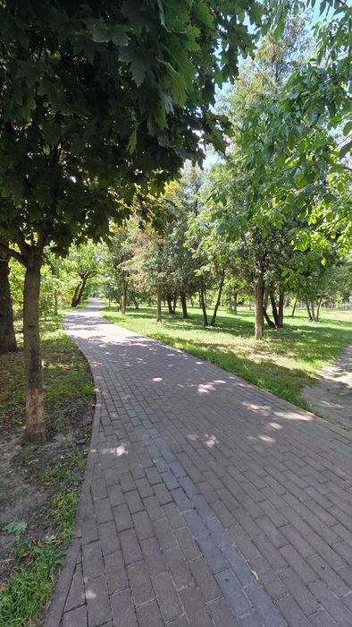 Квартира на вул. Михайла Донця, 9 в Києві, ID 216938, фото №16