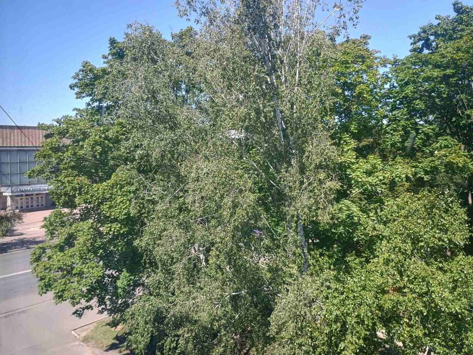 Квартира на Перемоги, 119 в Чернігові, ID 376328, фото №2