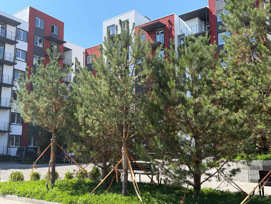 Квартира на ЖК «Амстердам Клубний» в Києві, ID 309256, фото №22